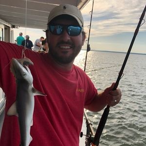 Meet your Posher, Mike